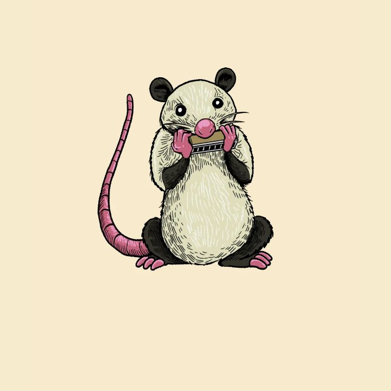 Opossum plays harmonica