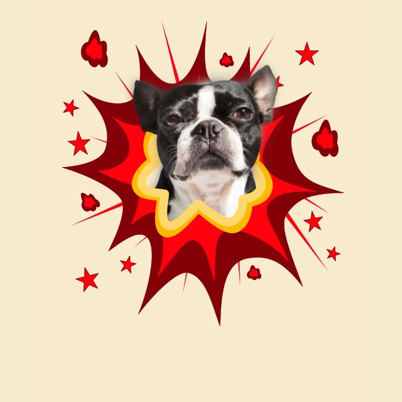 Conception de chien comique - Pow - Boston Terrier