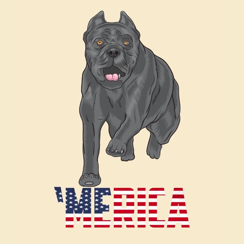 Cane Corso Merica