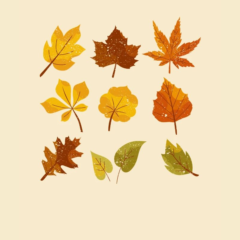 Fall Leaves Oktober Lover Herbst Leave Maple Leaf