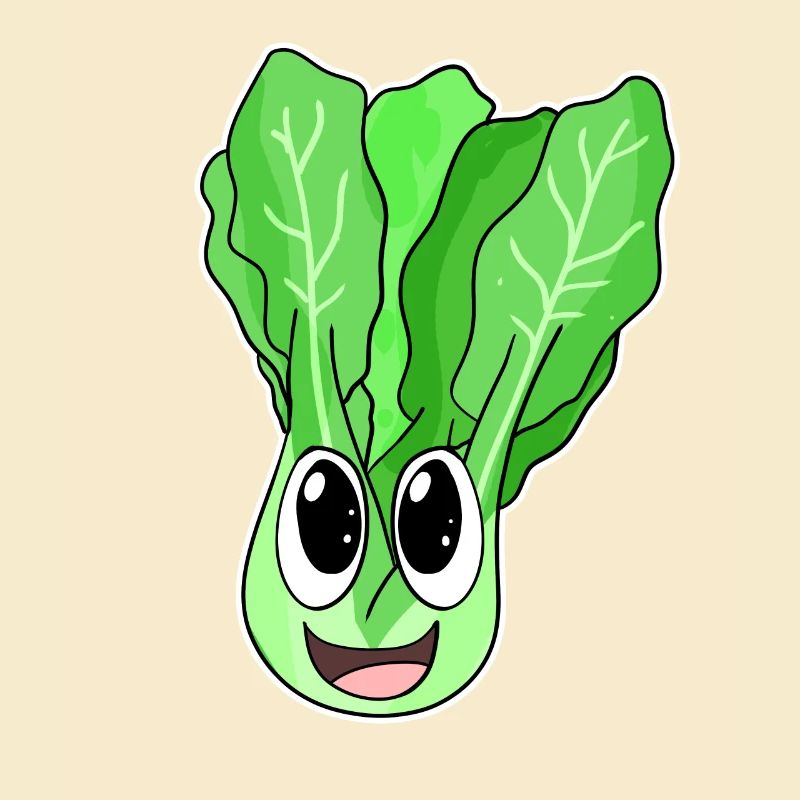 Lettuce