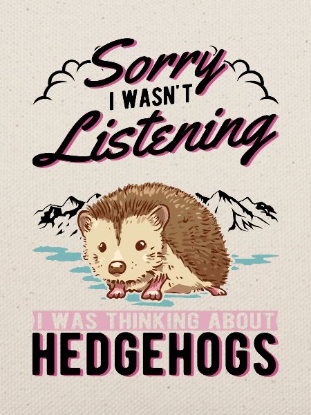 Igel Geschenk Stacheligel
