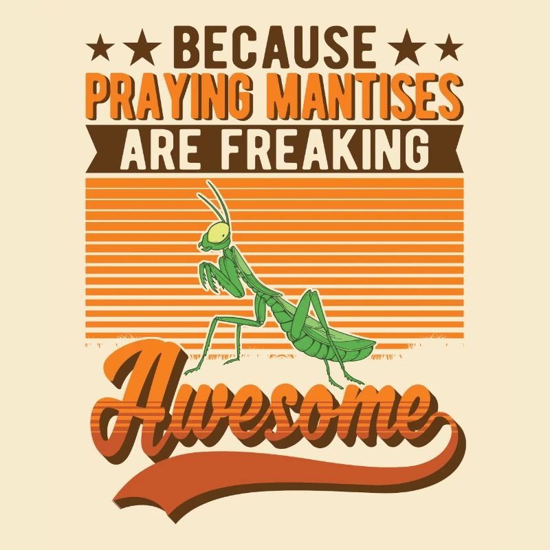 Gottesanbeterin Fangschrecke Mantis