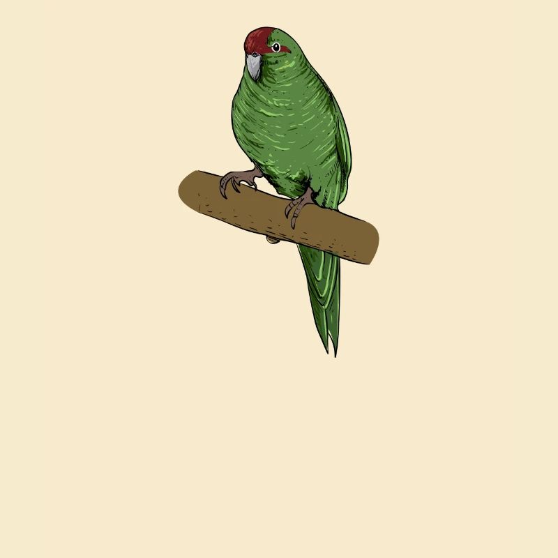 Goat Parakeet I Parakeet Motif for Bird Holder