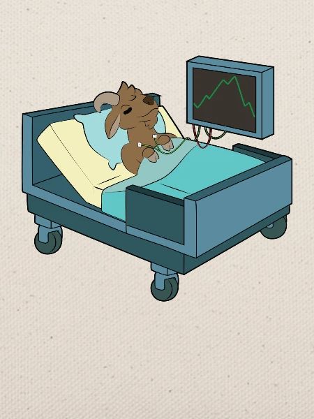 Ziege Krankenhaus Berge