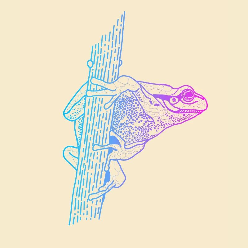 Tree Frog Toad Tadpole Frog Breeder Frog