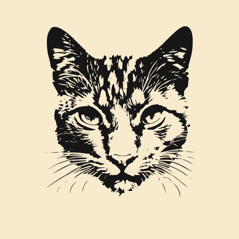 Katze 6
