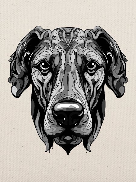 Great Dane Hund Portrait