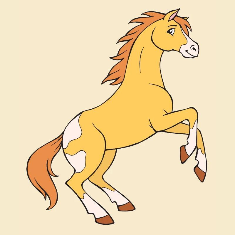 Wildpferd Mädchen Pferd