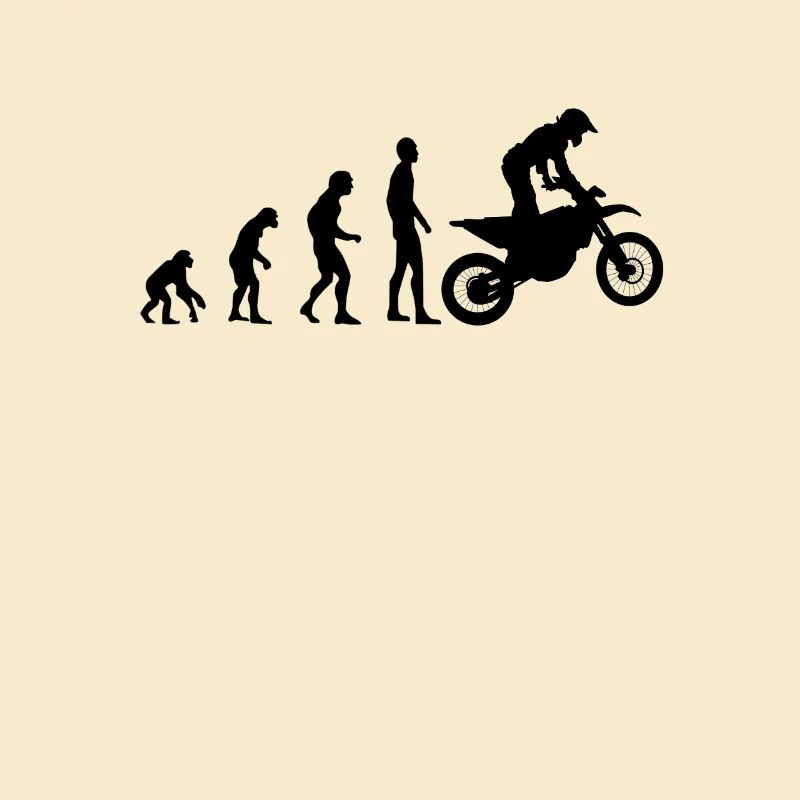 Motocross Evolution MX