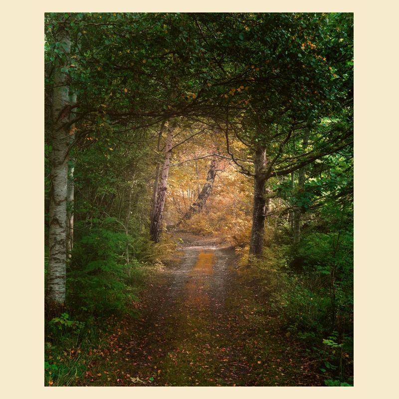 Wald