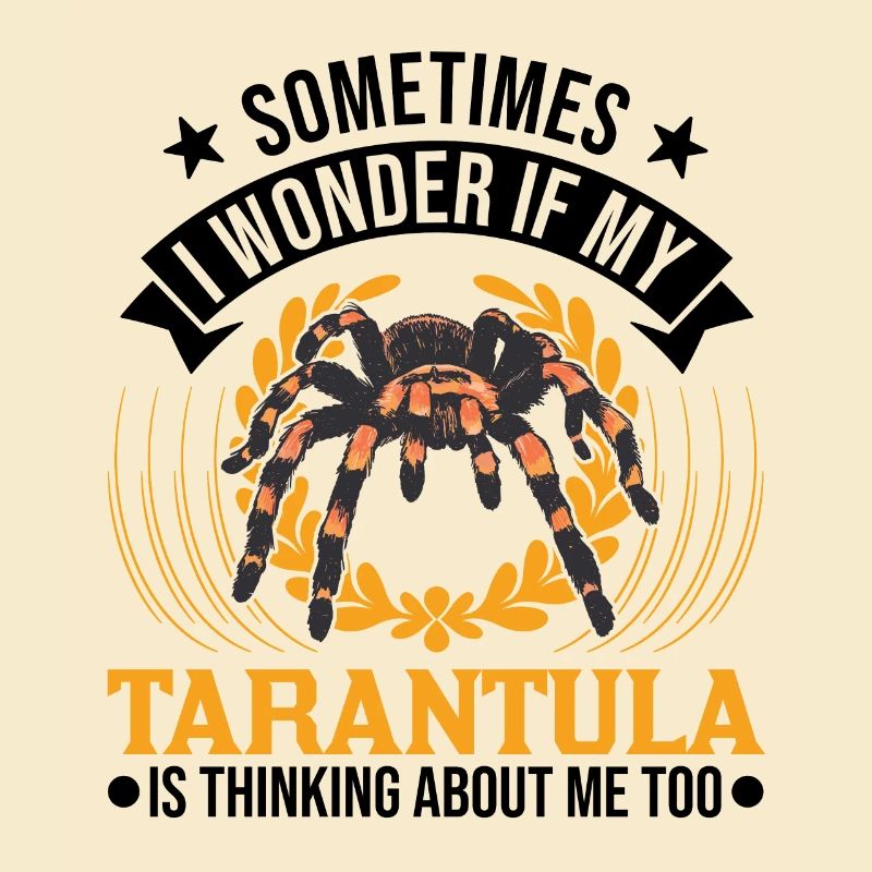 Tarantel Spinne Tarantula