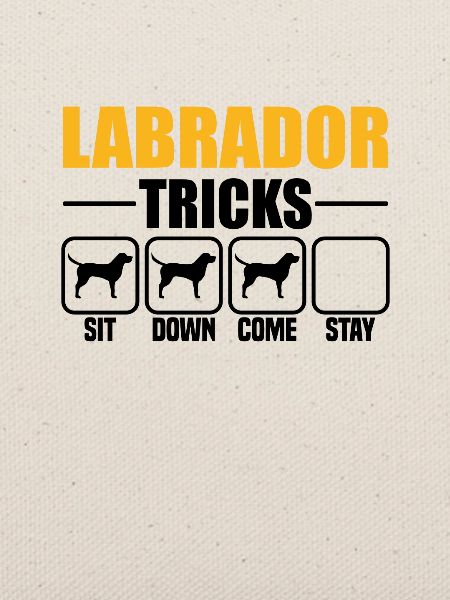 Labrador Tricks