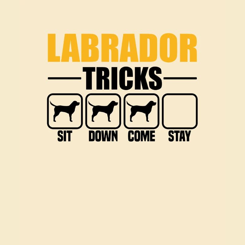Labrador Tricks
