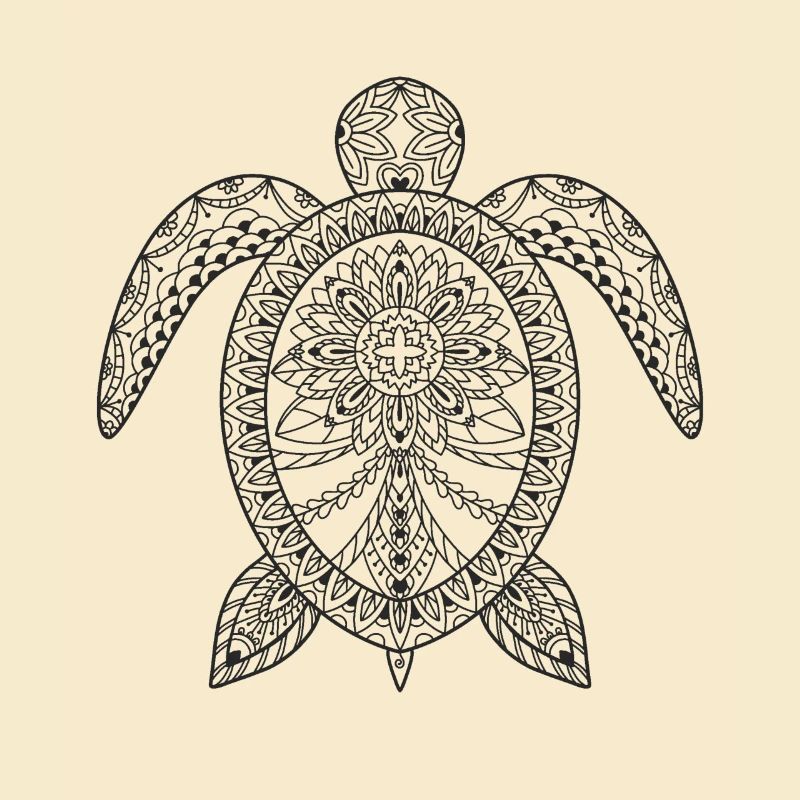 Schildkröte