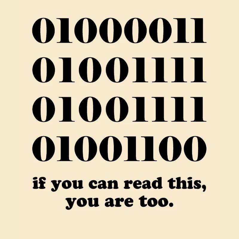 Computer binary code developers gift