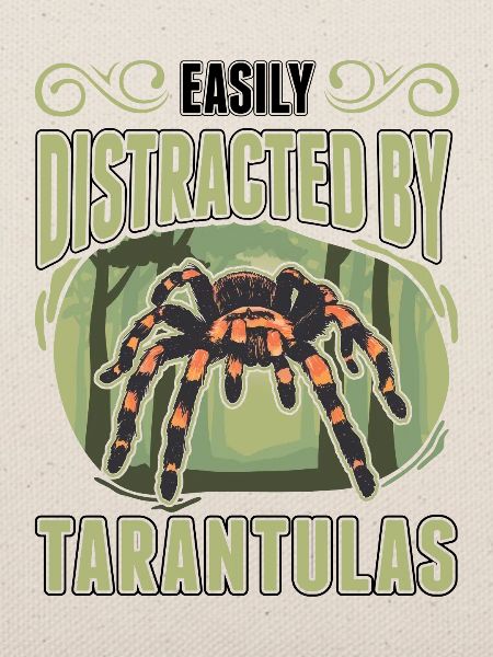 Easily distracted by Tarantulas Tarantel