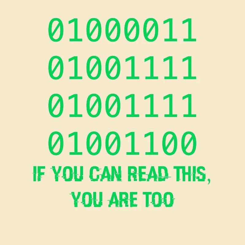 Computer Binary Code Developers Gift