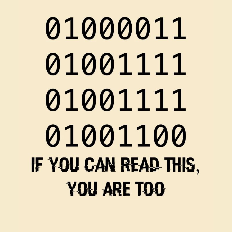 Computer Binary Code Developers Gift