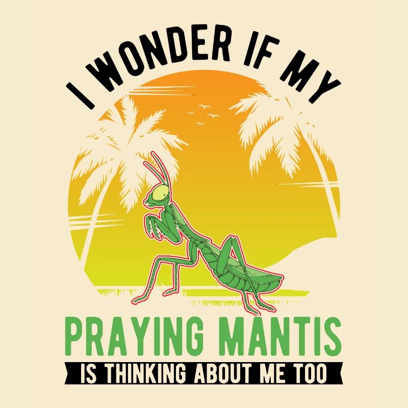 Gottesanbeterin Geschenk Mantis Fangschrecke