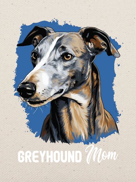 Hund Greyhound