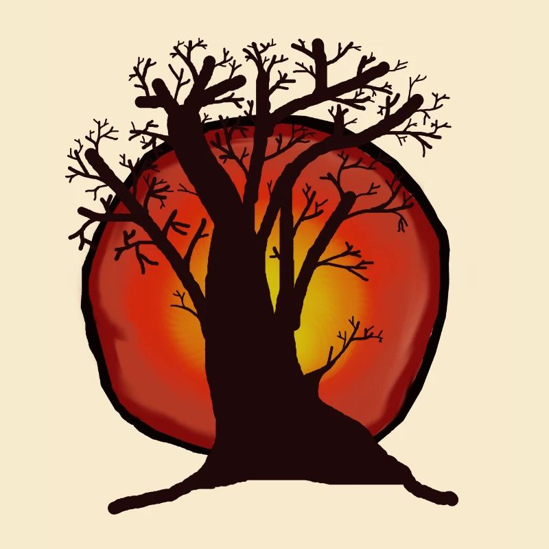 Tree, Sun, Sunset, Sunrays, Forest