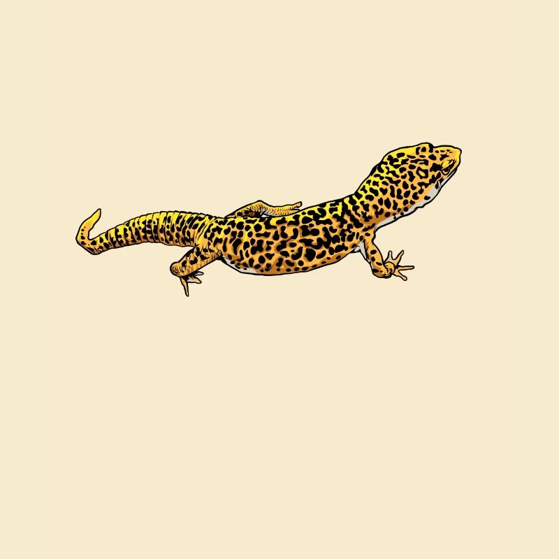 Zeichnung - Leopardgecko