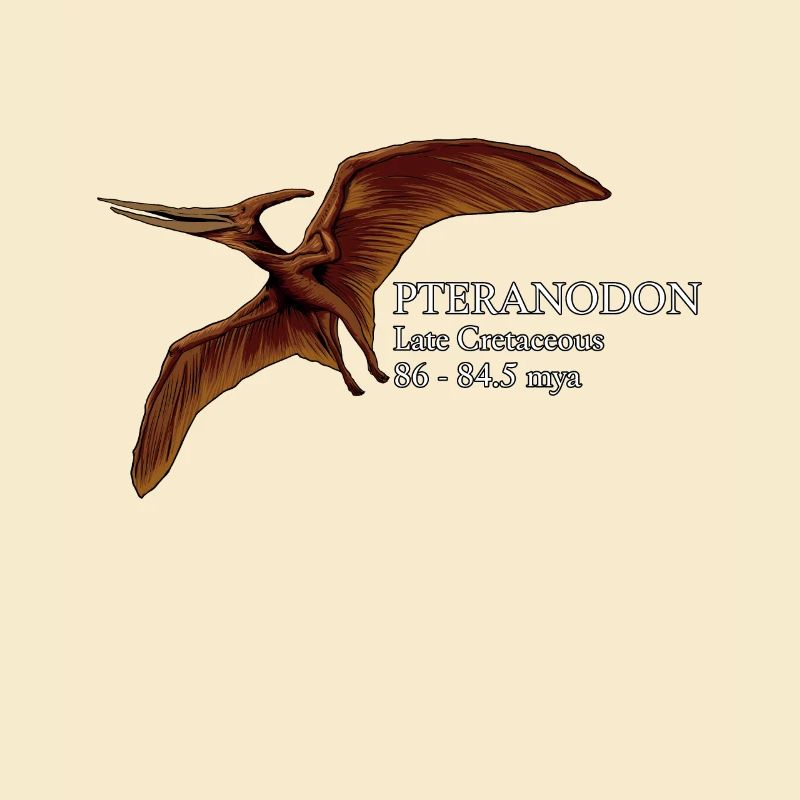 Realistic drawing of the Pteranodon