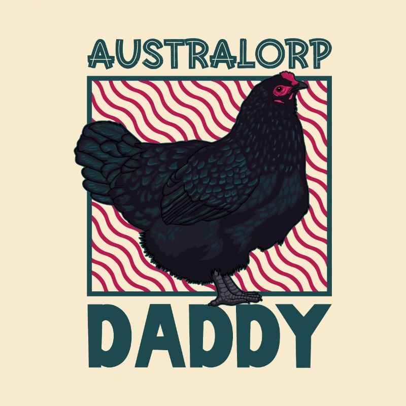 Australorp Papa