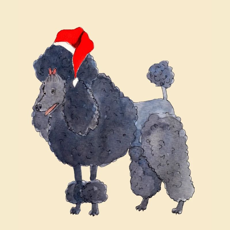 Caniche Noël