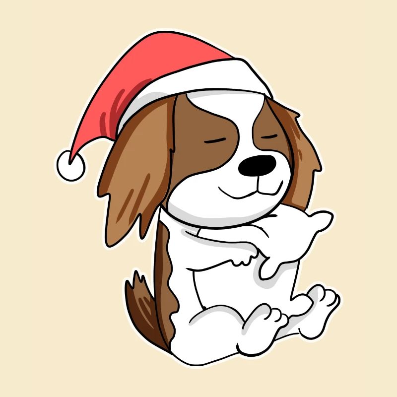 Cavalier King Charles Spaniel Hund Tier