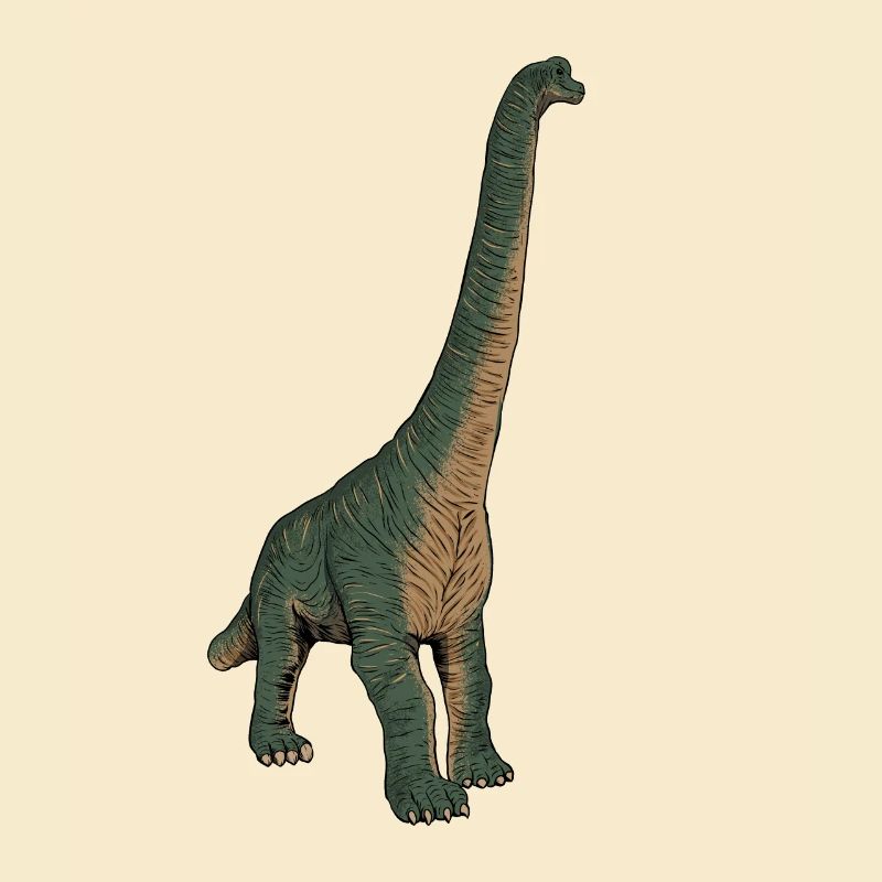 Zeichnung des Brachiosaurus