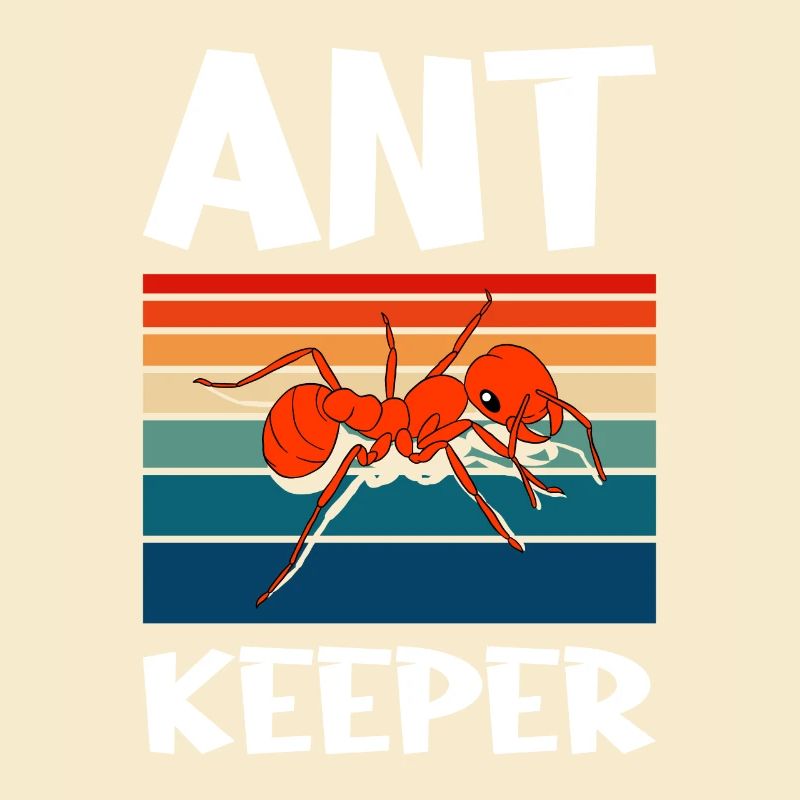 Fourmis fourmilières d’élevage de fourmis