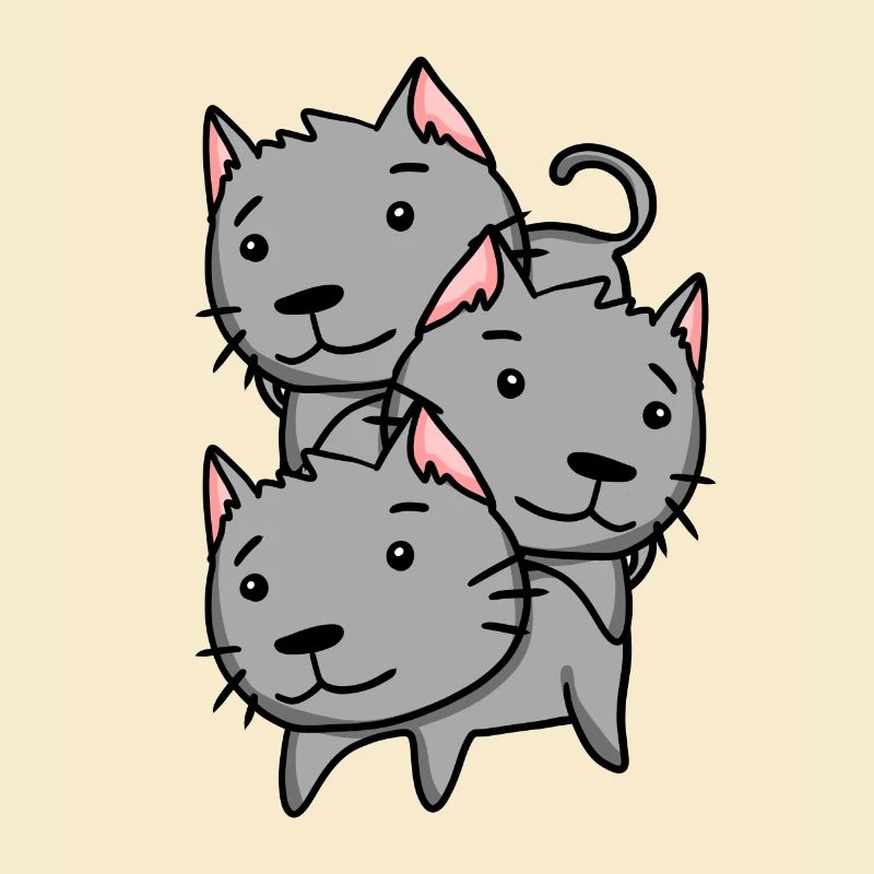 Cat Cats