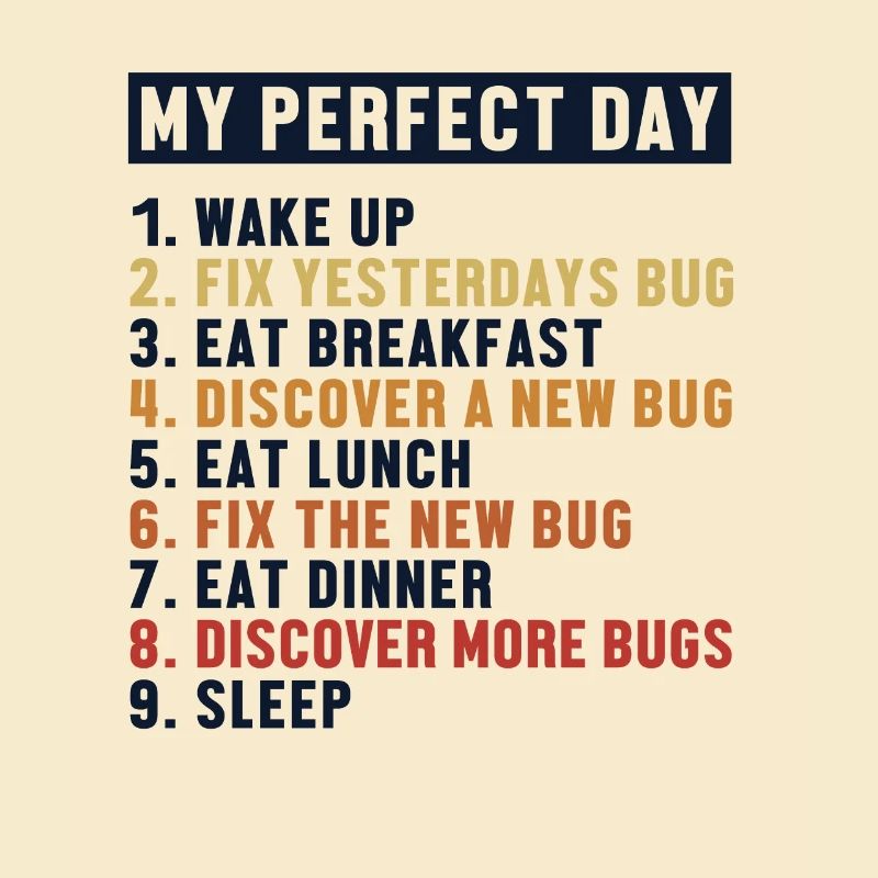 Fix Bugs Perfect Day Developer Coder Programmer