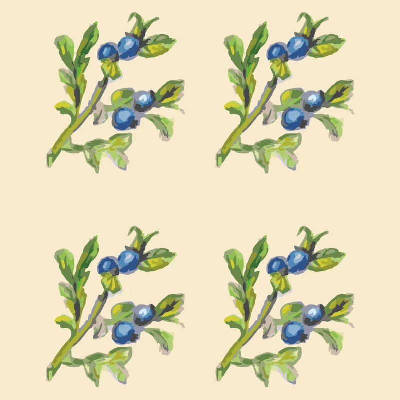 Myrtille 4 plis