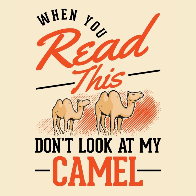 Kamel Geschenk Dromedar Camel Großkamel