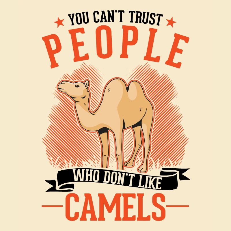 Kamel Dromedar Ägypten Geschenk Großkamel