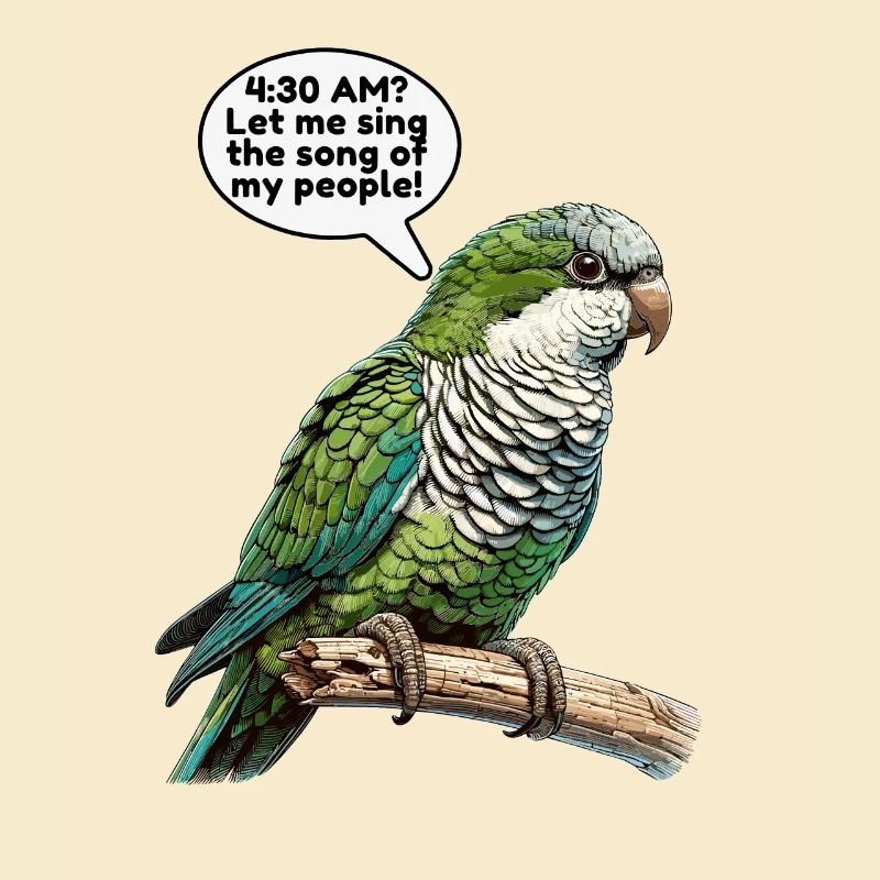 Quaker Parrot Monk Parakeet