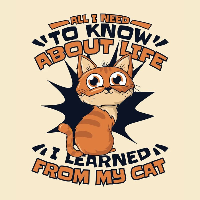 I Learned From My Cat Kitten Domestic Cat