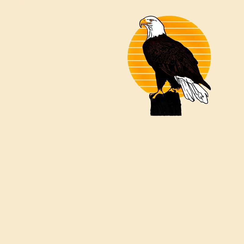 Bald Eagle - Bird Eagle Graphic Design