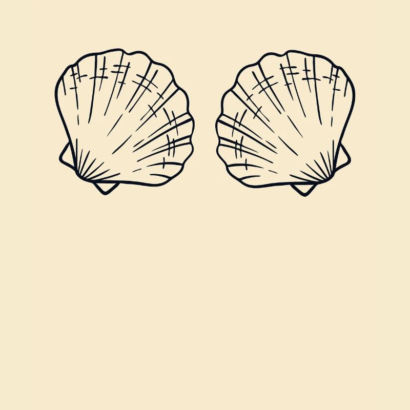 Seashell Bra BH Shell Shelling Bag Seashell