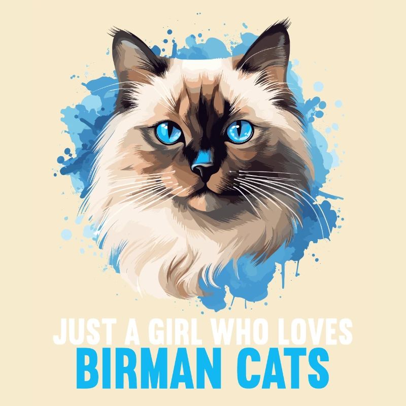 Birman Cat Birma Katze