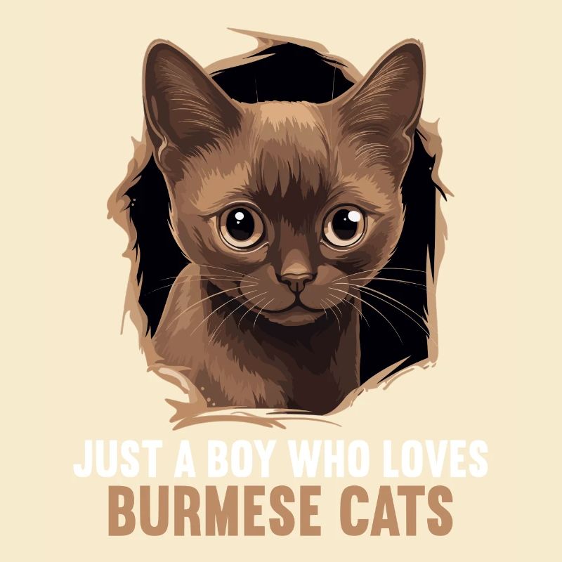 Chat birman Birmanie Katze