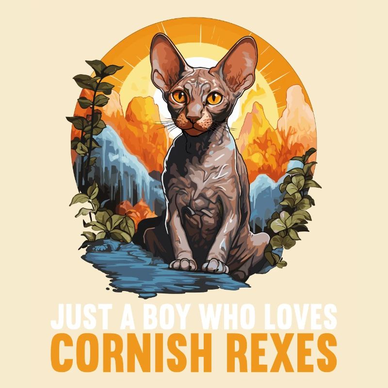 Cornish Rex Kitten Cornish Rex Cat