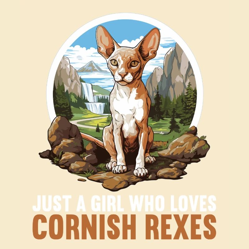 Cornish Rex Kitten Cornish Rex Cat