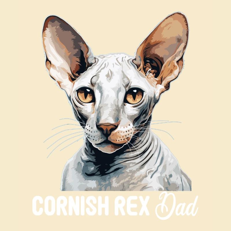 Chaton Cornish Rex Chat Cornish Rex