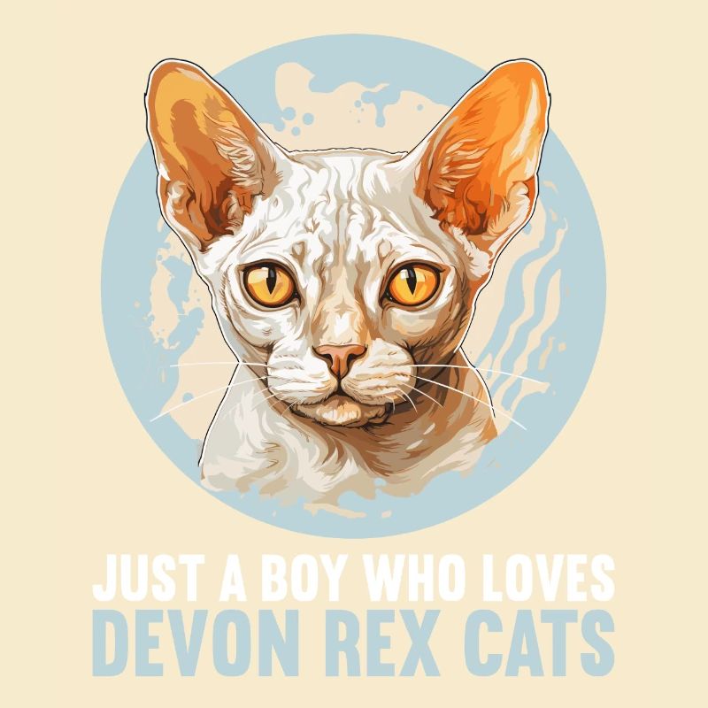 Devon Rex Kätzchen Devon Rex Katze