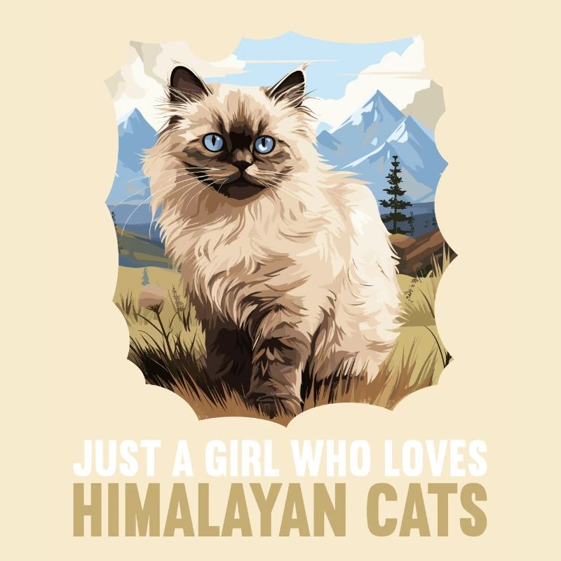 Himalayan Cat Colourpoint Katze