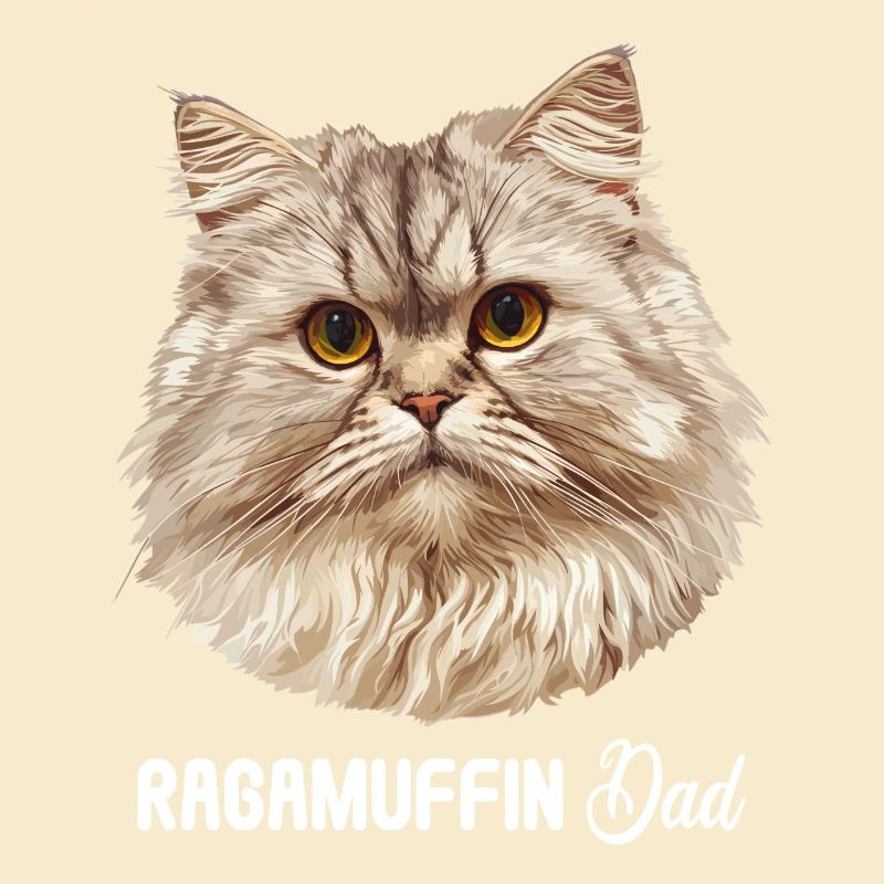 Ragamuffin Kätzchen Ragamuffin Katze